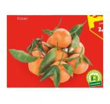 HOFER Marktplatz Blattclementinen HOFER 1 Kilogramm