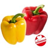 Ich bin Österreich Paprika Rot od. Gelb Penny 1 Stück