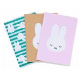 Promotion Bild von Hefte, DIN A5, Miffy HEMA 3 Stück 1 Packung