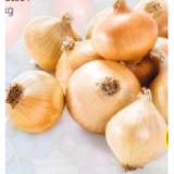 Promotion Bild von HOFER Marktplatz Bio-Zwiebeln Gelb HOFER 1 Kilogramm 1 Netz