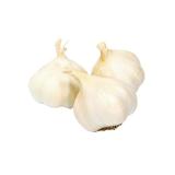 Elefantenknoblauch SPAR 1 Stück