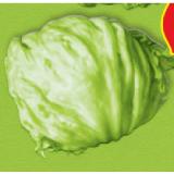 HOFER Marktplatz Eisbergsalat HOFER 1 Stück