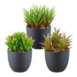 mömax Kunstpflanze „SUKKULENTE“ 4297345901 mömax 1 Stück