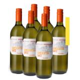 Aichenbergkellerei Aichenbergkellerei Gr. Veltliner, Zweigelt, Zweigelt Rosè oder Gemischter Satz T&G 1 Liter 1 Flasche