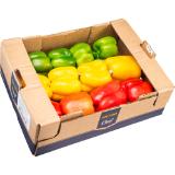 Metro Chef Paprika Tricolore, Preisangabe ohne MwSt. (Preis inkl. MwSt. 13,18 €), METRO 12 Stück 1 Packung