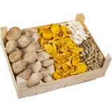 Mischpilze Con Gusto, Preisangabe ohne MwSt. (Preis inkl. MwSt. 10,99 €), METRO 1 Kilogramm