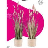 Promotion Bild von Kunstpflanze „GRASBUSCH“ 4297281501 mömax 1 Stück