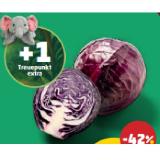 Ich bin Österreich Rotkraut Penny 1 Kilogramm