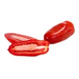 Dehner Tomate, rot 'San Marzano' Topf Ø10,5 cm Dehner 1 Stück