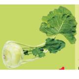 Bild von Eferdinger Kohlrabi Maximarkt 1 Stück