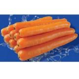 Snack Karotten aus Österreich Lidl APP Preis 200 Gramm