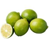 Bild von Limetten Penny 300 Gramm 1 Netz