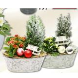 bepflanzte Schale 235068 HELLWEG 1 Stück