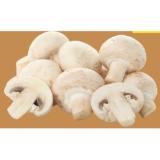 Champignons T&G 500 Gramm 1 Packung