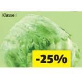 Promotion Bild von Zurück zum Ursprung Bio-Eisbergsalat aus Österreich HOFER 1 Stück