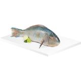 Papageifisch, Preisangabe ohne MwSt. (Preis inkl. MwSt. 21,99 €), METRO 1 Kilogramm