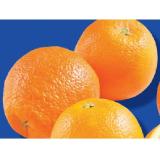 Saftorangen Lidl APP Preis 3 Kilogramm