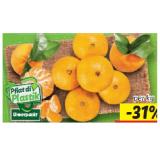 Promotion Bild von Mandarinen mit Blatt Lidl 1 Kilogramm