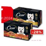 Promotion Bild von Cesar Schale verschiedene Sorten Unimarkt 4 Stück 1 Packung