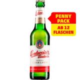 Budweiser Penny 0.33 Liter 1 Flasche