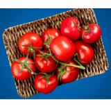 Strauchtomaten aus Österreich Lidl APP Preis 1 Kilogramm