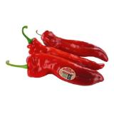 Spar Natur pur knackiger Bio-Spitzpaprika rot SPAR Gourmet 1 Stück