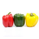 Promotion Bild von Paprika Mix Unimarkt 450 Gramm 1 Packung