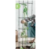 Gardenline Pflanzen-Spalier verschiedene Designs HOFER 1 Stück