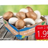 Bad Blumauer Bio-Champignons Mix aus Österreich EUROSPAR 200 Gramm 1 Packung