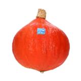 BIO vom BERG Hokkaido Kürbis MPREIS 1 Kilogramm