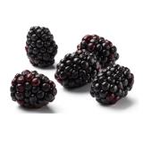 Brombeeren lidl 125 Gramm