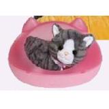 Baby Born Spielzeug Katze Cookie mit Box maxi.preisjoker Maximarkt 1 Set