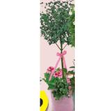 Exklusive Stämmchen und Körbe Muttertag Topf Lila, Ø 25 cm, Eukalyptus-Stämm- chen und diverse Blühpflanzen HOFER 1 Stück