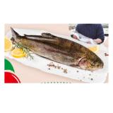 Fischzucht Payr Lachsforelle INTERSPAR 100 Gramm