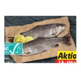 Bild von Holzinger Frische Forelle im Doppelpack Lidl 590 Gramm