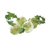 Spar Natur pur würziger Bio-Kohlrabi SPAR Gourmet 1 Stück