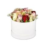 Rosenbox 17 Rosen versch. Arrangements Lidl 1 Packung