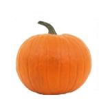 Da komm' ich her! Halloween-Kürbis Sutterlüty 1 Stück