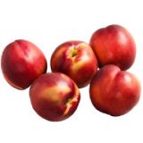 Nektarinen Penny 500 Gramm 1 Packung