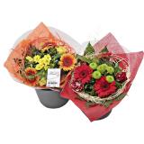 Geschenkstrauß, Preisangabe ohne MwSt. (Preis inkl. MwSt. 9,59 €), METRO 1 Bund