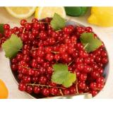 Promotion Bild von Ribisel EUROSPAR 500 Gramm 1 Packung