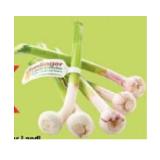 Eferdinger Landl Knoblauch frisch Maximarkt 500 Gramm