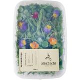 Promotion Bild von Wildkräutersalat, Preisangabe ohne MwSt. (Preis inkl. MwSt. 17,59 €), METRO 500 Gramm 1 Packung