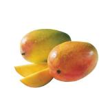 SPAR Süße Mango »Osteen« genussreif INTERSPAR 1 Stück