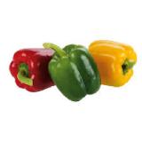 Bild von Da komm' ich her! knackiger Tricolore-Paprika BILLA PLUS 3 Stück