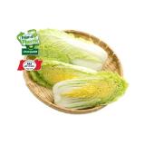 Promotion Bild von Chinakohl aus Österreich Lidl APP Preis 1 Kilogramm