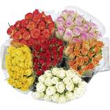 Rosen, Preisangabe ohne MwSt. (Preis inkl. MwSt. 6,99 €), METRO 18 Stück