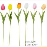 Tulpe 50790025 XXXLutz
