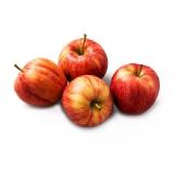 Da komm’ ich her! Äpfel »Gala« BILLA 1 Kilogramm