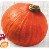Ja! Natürlich Bio-Speisekürbis >>Hokkaido<< BILLA PLUS 1 Kilogramm